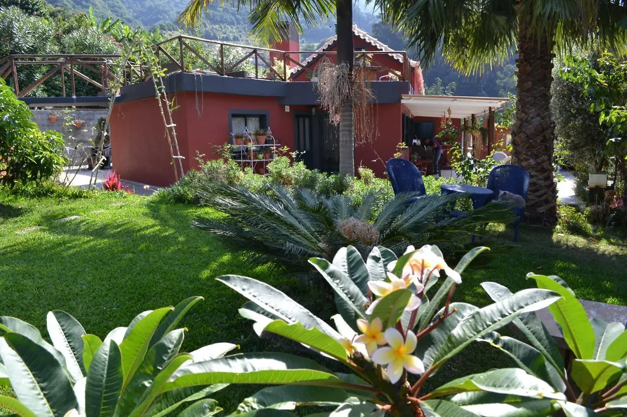 Bed and Breakfast Maderedocevida Боавентура 0*,  Португалия