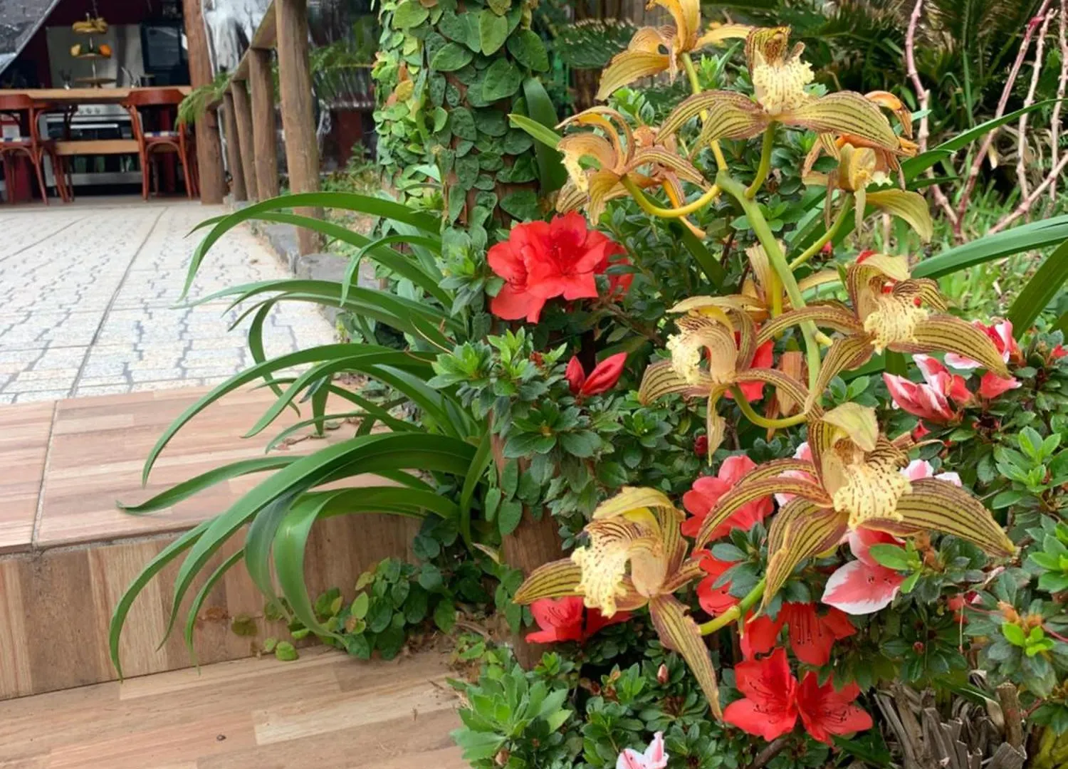 Bed and Breakfast Maderedocevida Боавентура Отель типа 
