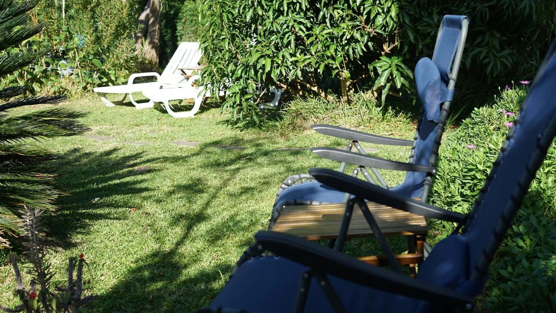 Bed and Breakfast Maderedocevida Боавентура